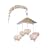 Cotton Tale Designs Heaven Sent Boy Musical Mobile