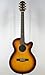 Fender Acoustics FSR GDC-100SCE ATB