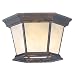Hamilton - 3 Light Outdoor Flush Mount Ceiling Lighting Fixture - Moroccan Gold Bronze - Iced Champagne Glass - B5569