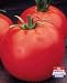 Celebrity Tomato 4 Plants- Highly Productive-ORDER NOW!