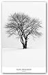 Silhouette by Ilona Wellman 24"x36" Art Print Poster