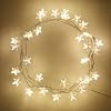 Fairy Lights, Star Shaped, Warm White 30 LEDs by Lights4fun