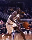 Luol Deng Autographed / Signed Chicago Bulls 8x10 Photo