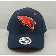 Saginaw Valley Team Color One-Fit Hat