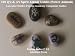 100 Q's & A's: Spirit Animal Guides (Lavender Smith's Psychic Academy Companion Guides)