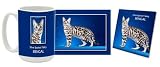 Silver Bengal Mug & Coaster Gift Box Combo - Cat/Kitten/Feline Edition Beverage Drinkware