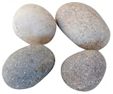 T Squared Pack of 4 Neodymium Magnets - Pebble Magnet (PEB)
