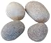Kitchen & Housewares : T Squared Pack of 4 Neodymium Magnets - Pebble Magnet (PEB)