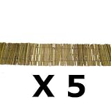 Review   / 5 Metre Length Of 6