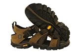 Timberland Men's Cadion Sandal