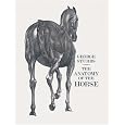 The Anatomy of the Horse