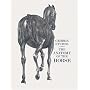 The Anatomy of the Horse