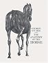 The Anatomy of the Horse