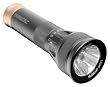 Duracell Daylite LED Flashlight with AAA Batteries