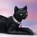Mystical Mystery Black Cat Figurine With Swarovski Crystal by The Hamilton Collection