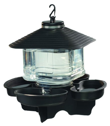 black friday price First Nature 993039-512