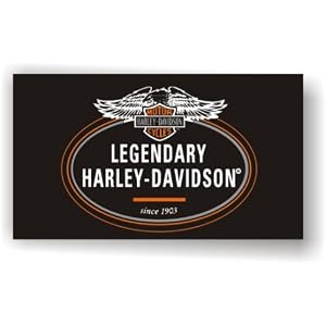HARLEY DAVIDSON SPORTSTER DYNA SOFTAIL VRSC TOURING FLAG DEALER BANNER