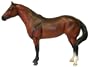 American Quarter Horse Mare�