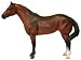 American Quarter Horse Mare