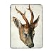 Head of a Roe Deer (pen & ink and w/c on.. - iPad Cover (Protective Sleeve) - Art247 - IPads 1 And 2