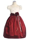 Sparkling New Glittered Burgundy Holiday Christmas Dress ~ 2 to 12 Girls