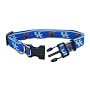 Pet Goods Small Collegiate  5/8-Inch by 10-Inch - 14-Inch  Dog Collar, University of Kentucky