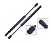 Tuff Support 2 Pieces (Set) Trunk Lid Lift Supports 1999 To 2005 Buick Century, 1999 To 2004 Buick Regal, 2000 To 2005 Oldsmobile Intrigue