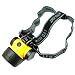ULTRA BRIGHT 20 LED HEAD LIGHT HEADLAMP TORCH