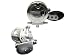 Avet SX Magic Cast Reels