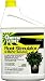 Green Light Organic Root Stimulator & Starter Solution - Quart 05932