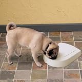 PetSafe 5 Meal Feeder