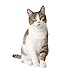 Tidy Cats Cat Litter, Clumping, Glade, 14-Pound Jug.