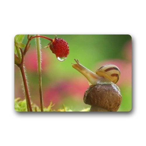 Hot 23.6"(L)x15.7"(W) 3/16" Indoor/Outdoor Snail Floor Mat