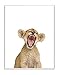Stupell Home DÃ©cor Baby Lion Cub Studio Photo Wall Plaque Art, 10 x 0.5 x 15, Proudly Made in USA