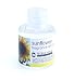 Sunflower Fragrance Oil