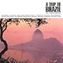 Trip to Brazil V.2