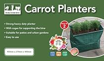 Proteam GH1038 Ready Steady Grow Your Own Set of 2 Carrot Planters