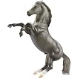 Dapple Grey Mustang