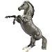 Dapple Grey Mustang