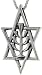 Sterling Silver Star of David with Menorah Charm, 1 9/16