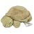 Cloud b Baby Turtle with Quiet Rattle
