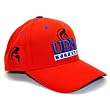 NCAA Triple Conference Adjustable Hat NCAA Team: Detroit Mercy