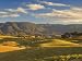 Pasture, Bega, New South Wales, Australia, Pacific Art Photographic Poster Print by J...