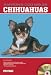 chihuahua26  - Chihuahuas Barrons Dog Bibles