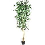 Nearly Natural 7' Ficus Silk Tree Nearly Natural 7' Ficus Silk Tree