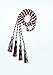 PI SIGMA ALPHA HONOR CORDS - TASSEL DEPOT BRAND