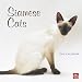 siamese18  - Siamese Cats 2010 Square Wall Multilingual Edition