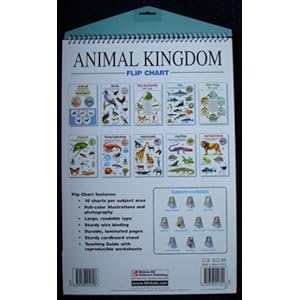 Animal Kingdom Chart