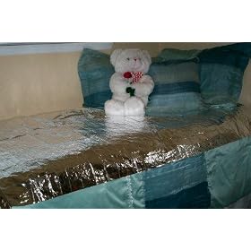 No Pets Allowed Blanket 2-pack**Dog & Cat Deterrent Repellent**Scat Mat Blanket**IT REALLY WORKS!!!
