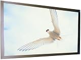  : Draper 253288 M1300 106-Inch Onyx Premium 52-Inch X 92-Inch Fixed HDTV Screen (White)